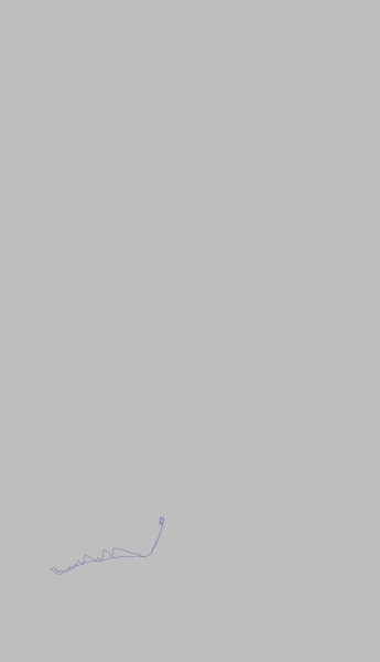 New York (animated GIF: sequential runs)