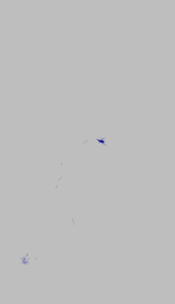 New York (animated GIF: simultaneous build-up)